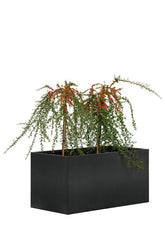 Jardinière Mohawk, acier thermolaqué noir 50 x 90 x 50 cm