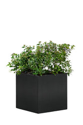 Jardinière Mohawk, acier thermolaqué noir 50 x 50 x 50 cm