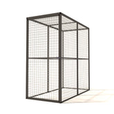 Course de chats Lilly