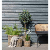 Taylor - Cort Deken - Donkergrijs/Wit - Katoen - 130x160 cm