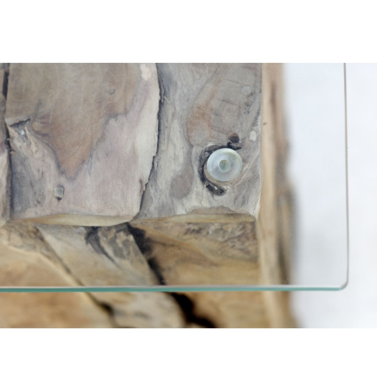 Ervaar het unieke karakter van elke Pilaar Root - een designstatement dat jouw interieur verrijkt met volledig exclusieve natuurlijke houtvormen.
