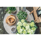 Moore - Körbe - Kubu - 3er-Set