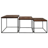 Multifunctionele salontafelset met eigentijds mangohout en ijzeren design.