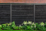 Schwedenrabatt Eco Nordeuropäische Fichte schwarz gespritzt 1,1/2,2x19,5x360cm