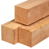 Pfosten Douglasie 20,0x20,0x500cm