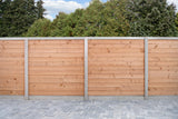 Blockhausprofil Douglasie 2,8x14,5x180cm