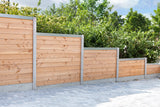 Blockhausprofil Douglasie 2,8x14,5x180cm
