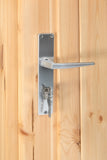 Porte simple D10 RS pin 90,5x196cm
