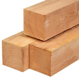 Pfosten Premium Douglasie 19,0x19,0x600cm