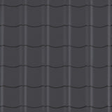 Extension XL d'appentis Easypan anthracite Red Class