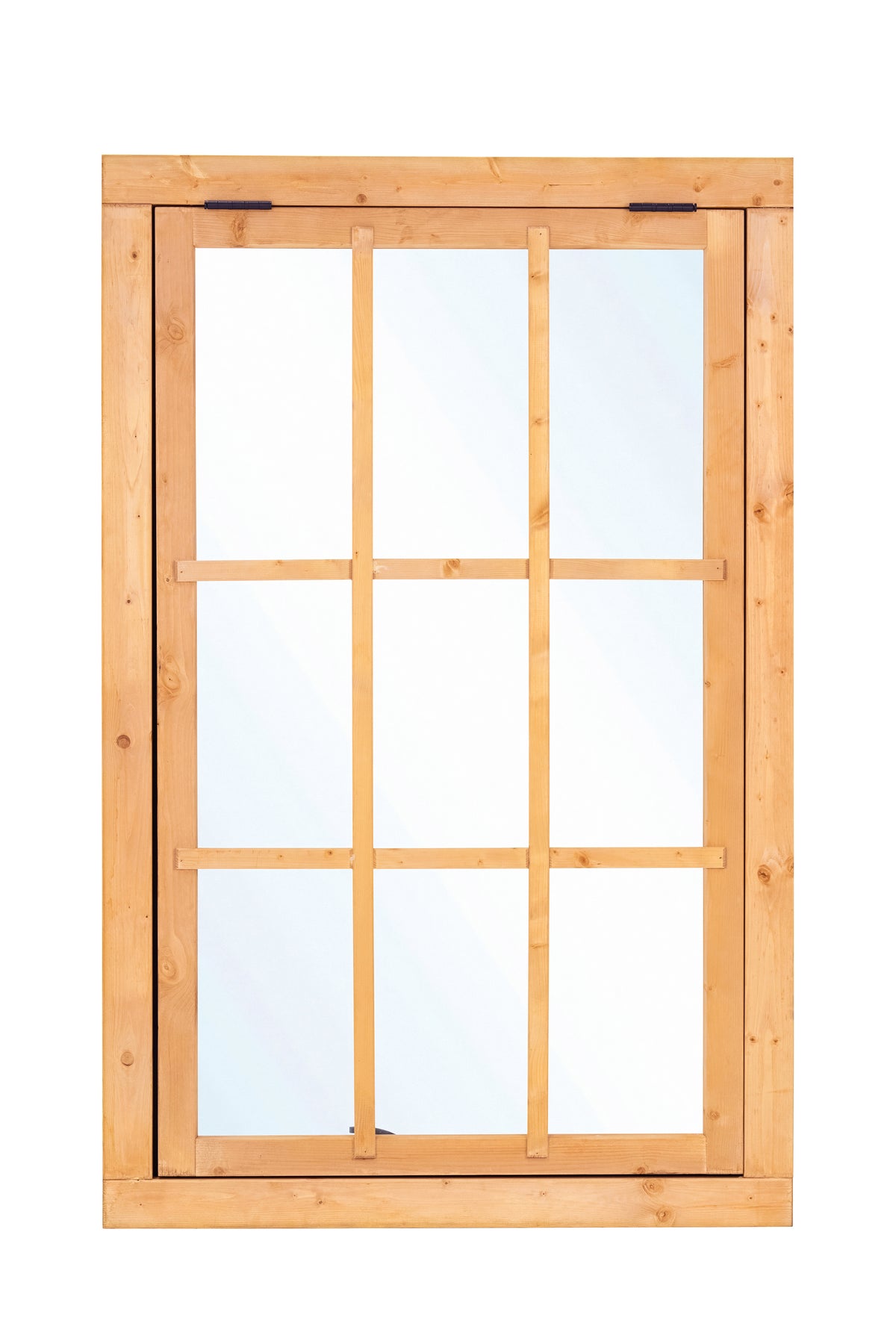 Fenêtre à battant Douglas 9 carreaux L1000xH1554mm dimensions extérieures