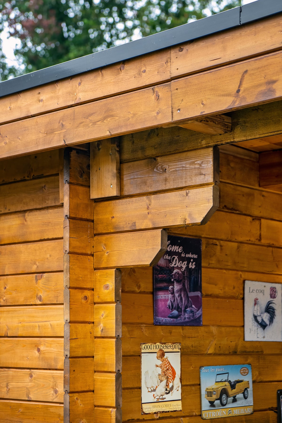 Cabane en rondins - Maison de jardin Diederick | 28 mm | Bois imprégné de classe rouge