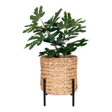 Meijer - Antas Pflanzgefäß - Wasserhyazinthe - rund - 26,5 x 26,5 x 28 cm