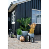 Thomas - Areca Palm - Kunstmatig - PE Plastic en Polyester - 175 cm