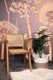 Esszimmerstuhl - 56x52x83 - Natur - Teak/Rattan