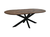Table à manger ovale Verona - 220x110x76 - naturel - Bois de manguier/métal