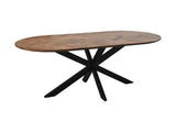Table à manger ovale Verona - 220x110x76 - naturel - Bois de manguier/métal