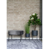 Fox - Havanna-Teppich - Schwarz/Weiß - Chenille-Polyester - 160x230 cm