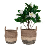 De Vries - mand - zeegras - naturel/bruin/zwart - set van 2