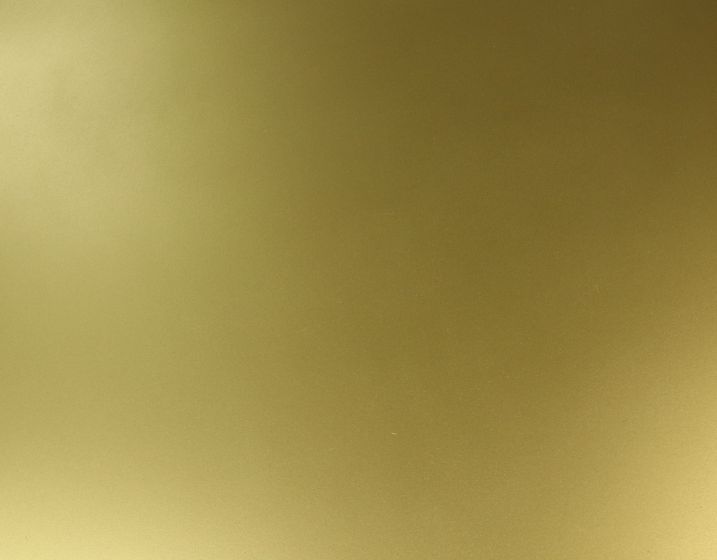 Ontdek de perfecte mix van elegantie en hedendaagse trends in onze gouden salontafel.