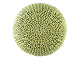 Amelia - pouf - groen - gerecycled kunststof - ø55cm